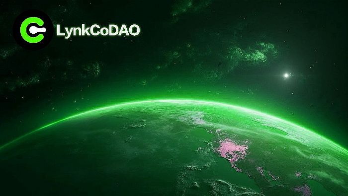 DeFi 的自然选择：适者生存